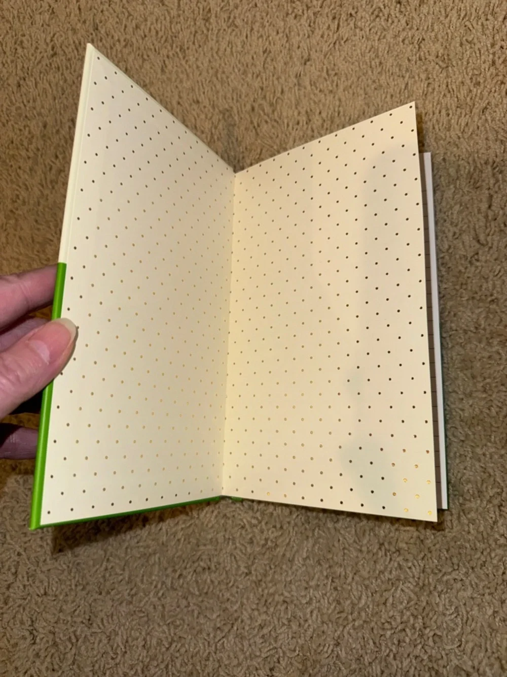 kate spade Two-Tone Initial Hardcover Notebook in Cream & Green